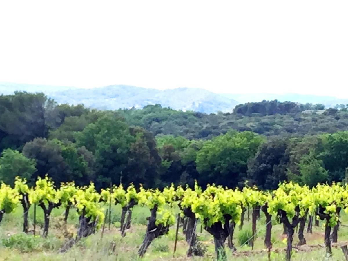 Le Clos Soleilhan Saint-Gervais  Luaran gambar